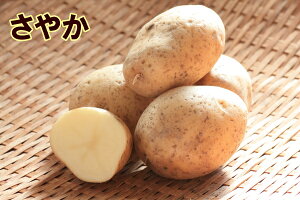 yWKCE킢zu₩v̎킶Ⴊ@500gytWKCp12{`2{z