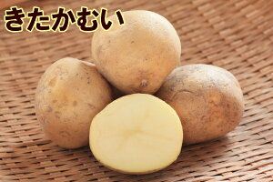 yWKCE킢zuނv̎킶Ⴊ@500gytWKCp12{`2{zyi햼Fނ_o^ԍF19543_COo֎~z