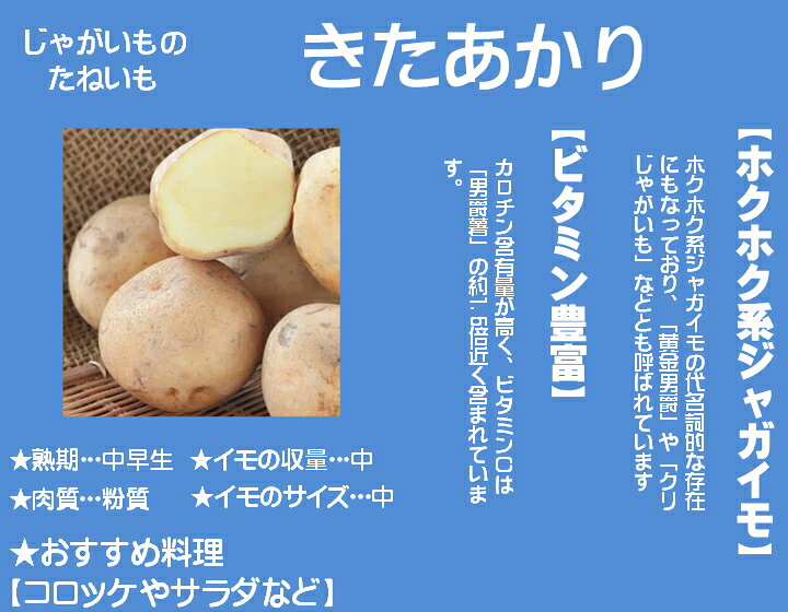 楽天市場 種ジャガイモ 種いも きたあかり キタアカリ の種じゃがいも 約５００ｇ入 春ジャガイモ用１２月上旬 ２月下旬発送 日光種苗