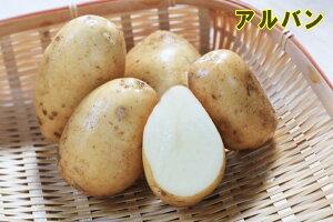 yWKCE킢zt`|eguAov̎킶Ⴊ@500gytWKCp12{`2{zyi햼FAo_o^ԍF21889_COo֎~z