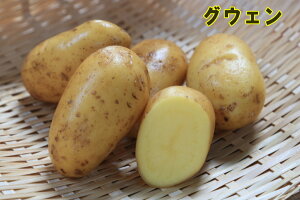 yWKCE킢zt`|eguOEFv̎킶Ⴊ@500gytWKCp12{`2{zyi햼FOEF_o^ԍF27933_COo֎~z