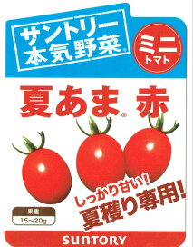 楽天市場 苗 野菜苗 夏 秋植え野菜苗 夏秋植え果菜苗 サントリー本気野菜 夏あまミニトマト 日光種苗 楽天市場 苗 野菜苗 夏 秋植え野菜苗 夏秋植え果菜苗 サントリー本気野菜 夏あまミニトマト 日光種苗