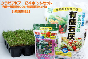 yԂ̃^lv[g(N)zuNsAK7() 24{Zbg(L@ꔭ엿EL@ΊD(VRL)t)v9cm|bgcyz