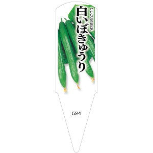 ؕcpx@ڂイ@100@No524@y[J[z