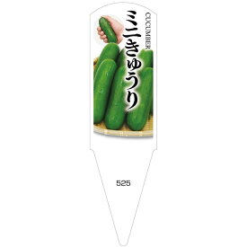 楽天市場 ミニきゅうり 苗の通販