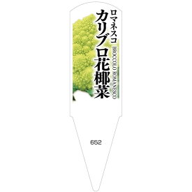 野菜苗用ラベル　カリブロ花椰菜　ロマネスコ　100枚入　No652