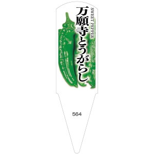 ؕcpx@莛Ƃ炵@100@No564@y[J[z