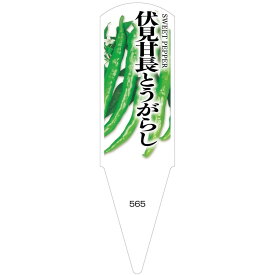 野菜苗用ラベル　伏見甘長とうがらし　100枚入　No565