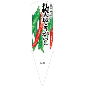 ؕcpx@Dy咷Ƃ炵@100@No566@y[J[z