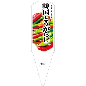ؕcpx@؍Ƃ炵@100@No567@y[J[z