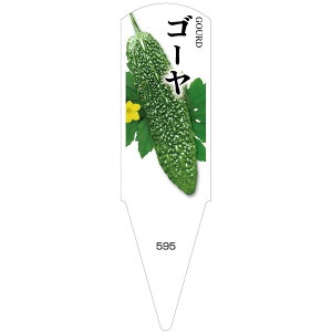 ؕcpx@S[@100@No595@y[J[z