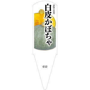 ؕcpx@炩ڂ@100@No612@y[J[z