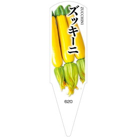 楽天市場 ズッキーニ 苗の通販
