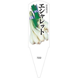 楽天市場 野菜 エシャロットの通販