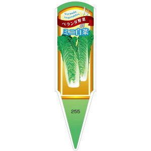 ؕcpx@~j؁@100@No255@y[J[z