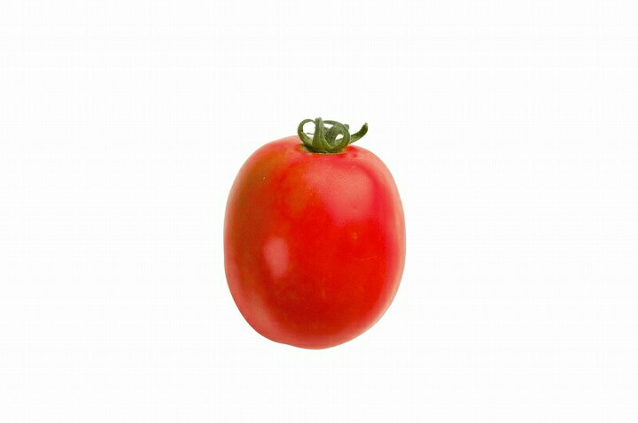 楽天市場 サントリー本気野菜 トマト苗 ボンリッシュ 9cmポット ４月中旬 5月上旬発送分予約 日光種苗