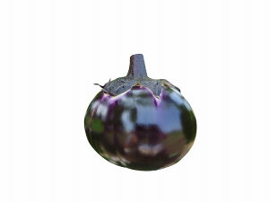 �T���g���[�{�C��؁@�i�X�̕c �u�N���[�~�[�g���i�X�v9cm�|�b�g�y4�����{�`5����{�������\��z
