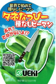 タネなしピーマンの苗 「タネなっぴー」10.5cmポット【4月中旬～5月上旬発送分予約】【品種名：タネーラ_登録番号：第28906号_海外持出禁止】