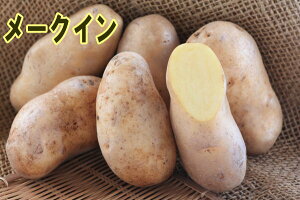 yWKCE킢zu[NCv̎킶Ⴊ@10kgytWKCp12{`2{zyz