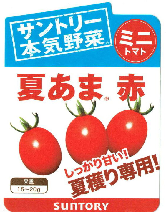 楽天市場 サントリー本気野菜 ミニトマト苗 夏あま 赤 9cmポット 6月下旬発送分 日光種苗