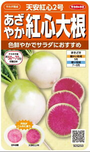 TJ^̃^l@₩gS卪@VgS2 8mlyXΉz