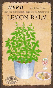 c@n[uuo[y804zṽ^l@[eʁF0.2mli240j]