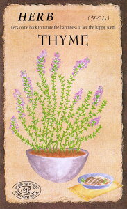 c@n[uu^Cy805zṽ^l@[eʁF0.2mli400j]