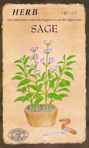 c@n[uuZ[Wy810zṽ^l@[eʁF0.3mli20j]