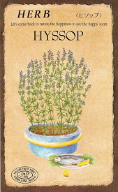 日光種苗　ハーブ「ヒソップ 【811】」のタネ [内容量：0.2ml（約60粒）]