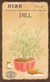 日光種苗　ハーブ「ディル【818】」のタネ　[内容量：0.5ml（約100粒）]