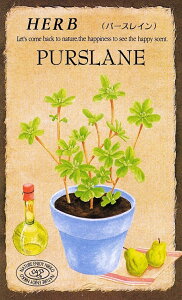 c@n[uuS[fp[XCy836zṽ^l@[eʁF0.1ml]