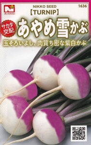 ������c�@�T�J�^��z�@����ߐႩ�ԁi���A�J�u�j�̃^�l�@[���e�ʁF1.5ml]�y1636�z