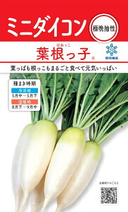 cu~j_CR tqṽ^l@[e:2ml]