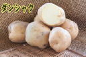 yWKCE킢zu_VNij݁j10kgv̎킶Ⴊ@ytWKCp12{`2{zyz