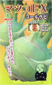 юc@R[r@u}cREXṽ^l@[eʁF40]