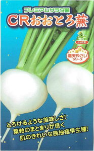 юc@Ju@uCRƂ땓ṽ^l@[eʁF2ml]