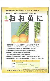 小林種苗　黄カブ　「おお黄に」のタネ　[内容量：約100粒]