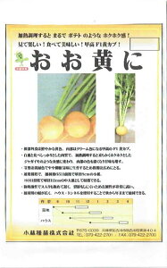 юc@Ju@uɁṽ^l@[eʁF100]