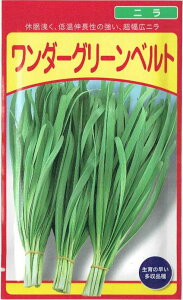 c@j@u_[O[xgṽ^l@4mlyi햼F_[O[xgz