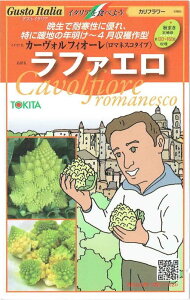 gL^c@OXgC^A@}lXR@ut@Gṽ^l@[eʁF50]