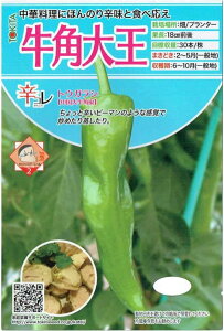 gL^c@gEKV@up剤ṽ^l@[eʁF20]