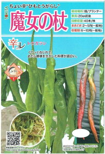 gL^c@gEKV@ȕṽ^l@[eʁF20]