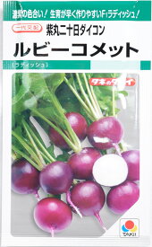 タキイ種苗　紫丸二十日ダイコン「ルビーコメット」のタネ　約310粒