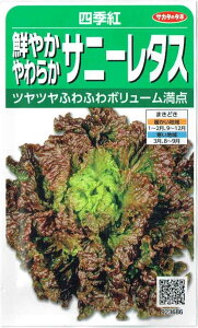 TJ^̃^l@^X N₩炩Tj[^XulGgṽ^l@3.5ml