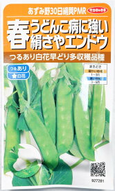 サカタのタネ　絹さやエンドウ「あずみ野30日絹莢PMR」のタネ　20ml【品種名：あずみ野30日絹莢PMR】