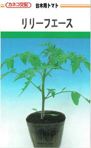 JlRc@ؗpg}gu[tG[Xṽ^l@[eʁF100]