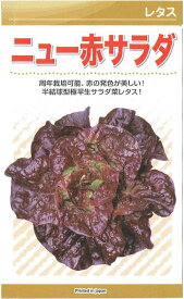 カネコ種苗　レタス「ニュー赤サラダ」のタネ　2.3ml