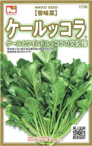 c@؁uP[bRṽ^l[eʁFR[gq40]yi햼F CCDD_o^ԍF29087z