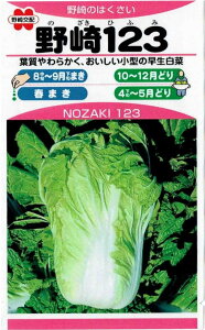 ̎@nNTCu123ṽ^l@1ml