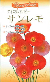 楽天市場 アイスランドポピー 種の通販